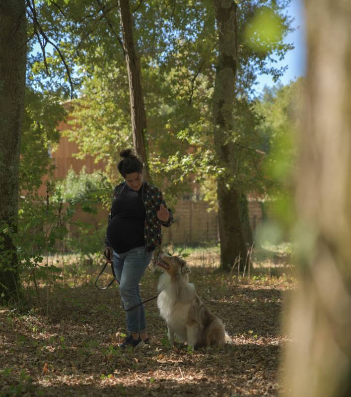 Eduquer son chien est essentiel pour lui apprendre certaines règles de vie