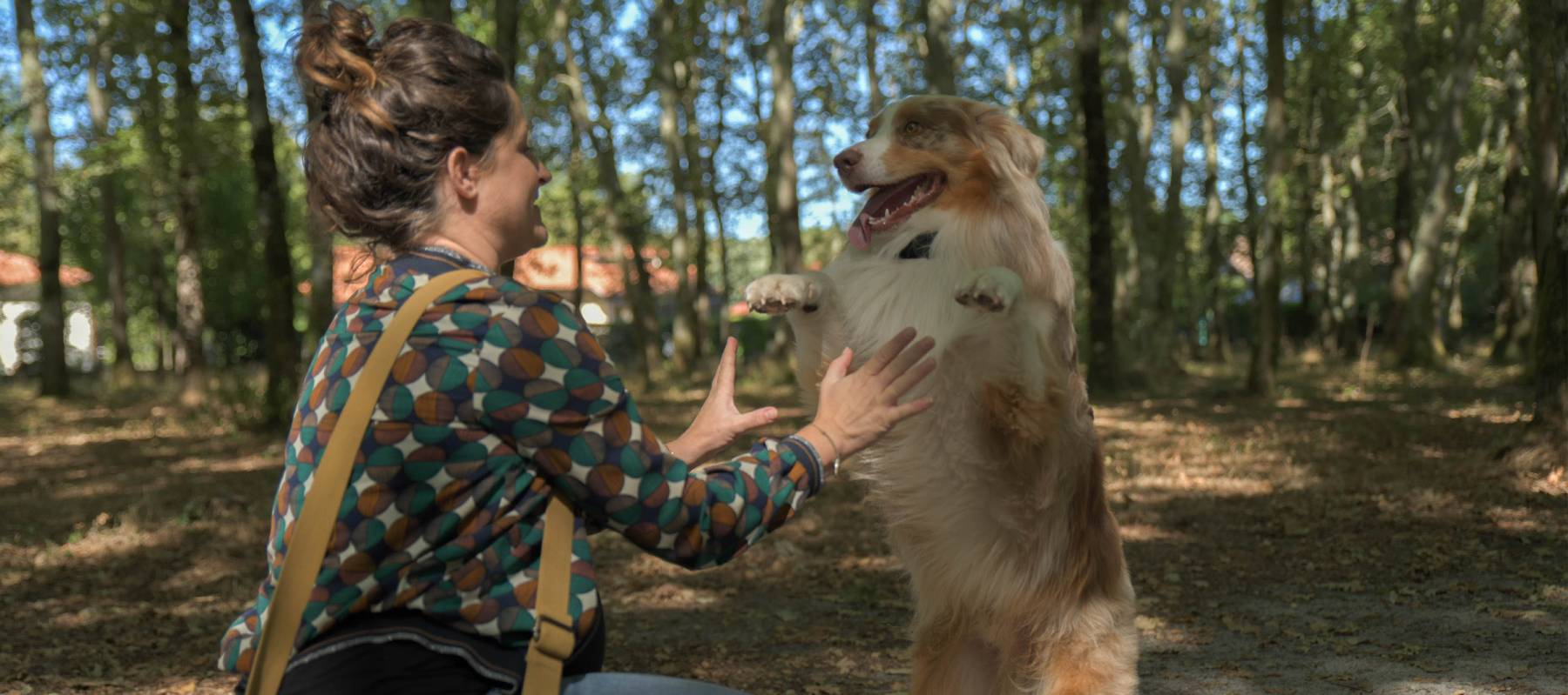 educateur canin troisième image slider