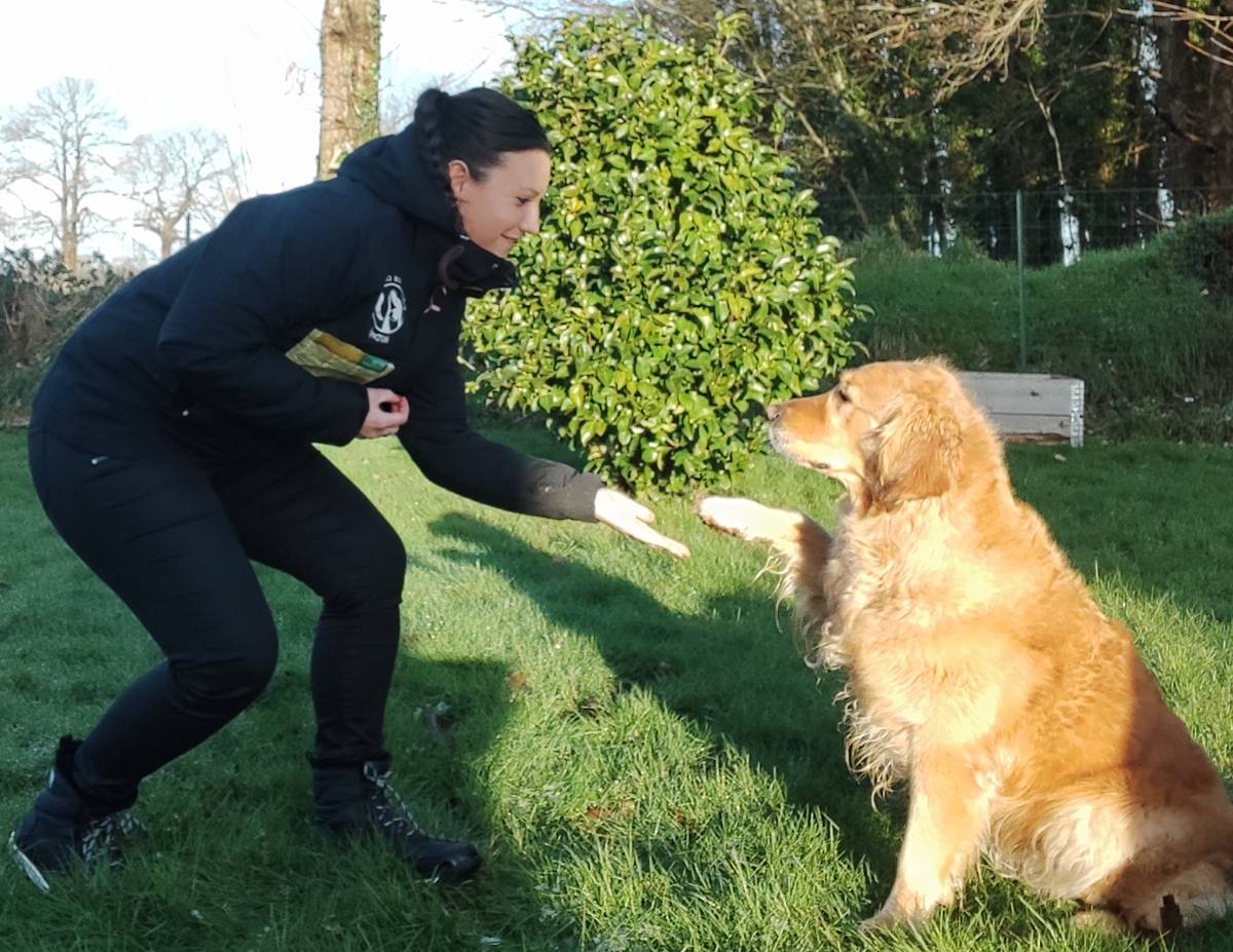 Nous proposons des séances d'éducation canine basées sur une éducation positive