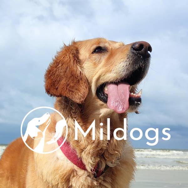 Mil'Dogs - Éducatrice canine comportementaliste à Fougères
